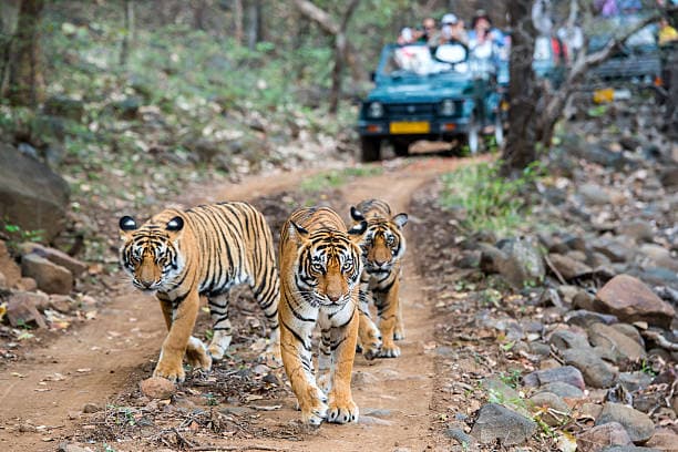 Adventure Tourism - Travel Experiences in India